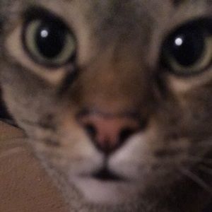 Meet your Posher, Heather